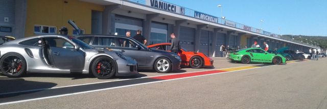 991 GT3RS Sachsenring